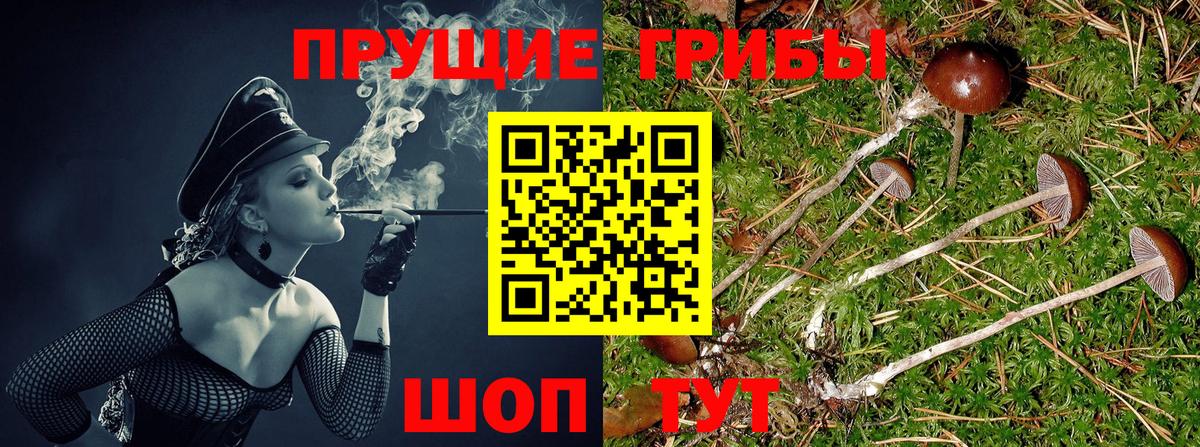 Псилоцибиновые грибы ЛСД Октябрьский